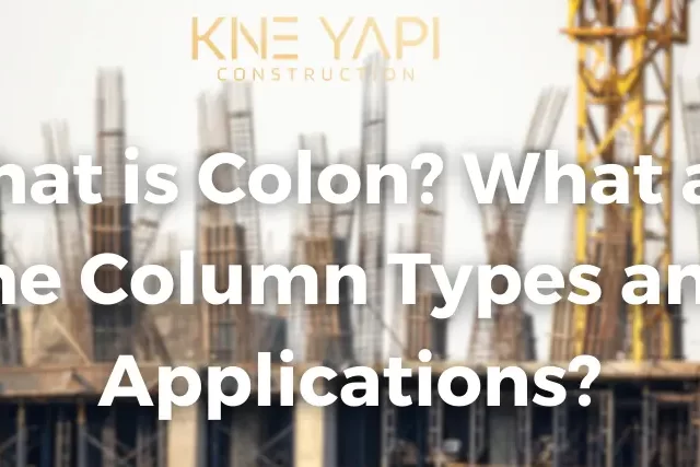 What is Colon What are the Column Types and Applications